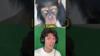 MONKEY DRINKS POWERADE! *FUNNY* #shorts #reaction