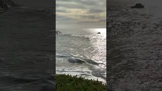 See dramatic waves off West Cliff Drive in Santa Cruz, CA