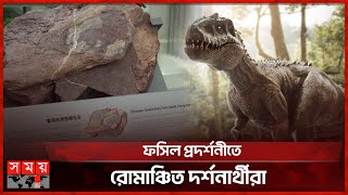 হংকংয়ে প্রথমবার মিলল ডাইনোসরের জীবাশ্ম | Dinosaur Fossils | Hong Kong | International News