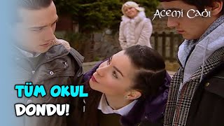 Ayşegül Tüm Okulu Dondurdu! -  Acemi Cadı 34. Bölüm