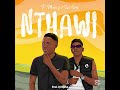 p msha ft lil kellz nthawi official audio visualize