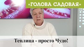 Голова садовая - Теплица - просто Чудо!