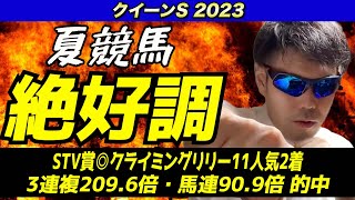 【クイーンステークス2023】夏競馬絶好調です！！７月は毎週大的中してます！！【競馬予想】