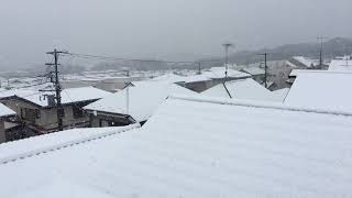 ウェザーリポート動画0321@逗子12:12積雪(スロー撮影)