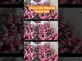 do you like big pink flower ball flowers wedding design