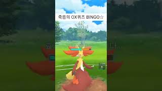 GBL) 칼로스 히로인, 세레나 콘테스트 파티로 슈퍼리그를 하는 사람이 있다?! #gbl #pokemongo #포켓몬고 #세레나 #serena #セレナ