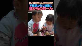 イヤイヤ期も妹とばあちゃんのおかげでご機嫌になる兄#baby   #双子#twins #仲良し男女双子 #仲良し兄妹 #shorts  #生後1歳11ヶ月