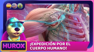 ¡Viaje por el cuerpo humano! 🚀✨