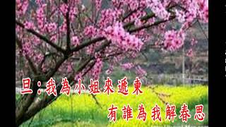 《情滿桃花渡》蘭子平~子喉