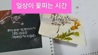 시화공예 디자인