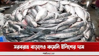 সরবরাহ বাড়লেও কমেনি ইলিশের দাম  || Jago News