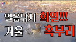 붕어낚시 얼음낚시 강화 교동수로 덩어리가 나옵니다 메리크리스마스 #bigfishing