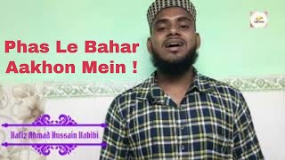 Simat Si Aayi Hai Phas Le Bahar Aankhon Mein | Hafiz Ahmad Hussain Habibi | SabTube