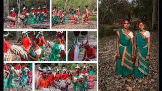 Kommu Koya Dance of Koya Tribe of Andhra Pradesh - Hindi