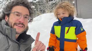 Home-School Lesson: Deciduous vs. Coniferous Trees (wait for it…)