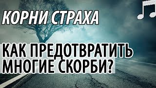 СТРАХ. Как предотвратить многие СКОРБИ? Святые отцы