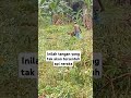 Inilah tangan yang tak akan tersentuh api neraka#kajianislam #kisahislami#kisahnabidanrasul #petani