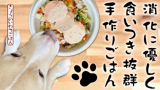 【簡単手作り犬ご飯】馬肉と鶏と野菜の食べ応え抜群ごはん【帝塚山ハウンドカム】