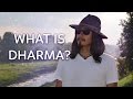 Dharma Explanation - What is Dharma?