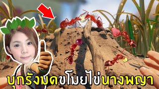 บุกรังมดขโมยไข่นางพญา #4 | Grounded