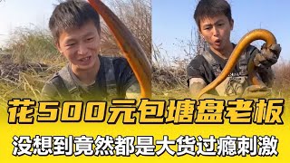 花500元包塘抓2小时黄鳝，没想到竟然都是大货抓的真过瘾【乡野水猴子】