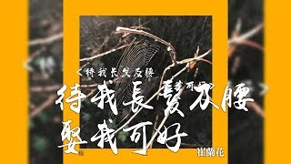 崔蘭花 -《待我長髮及腰 娶我可好》｜CC歌詞字幕