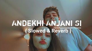 Andekhi Anjaani Si { Slowed And Reverb Song } | Lata Mangeshkar, Udit Narayan | Mujhse Dosti Karoge
