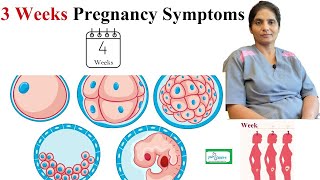गर्भावस्था के 3 और 4 सप्ताह में क्या होता है? 4 Week Pregnancy Symptoms