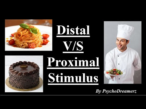 What is the difference between distal and proximal stimuli?