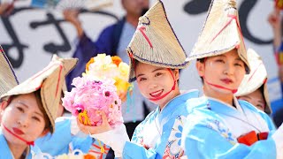 2024 原宿表参道元氣祭スーパーよさこい 原宿口ステージ 四国銀行