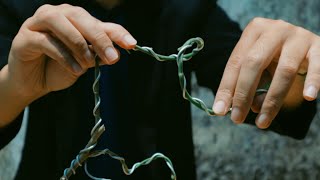 HOW TO MAKE A MULBERRY BONSAI FOR BEGINNERS