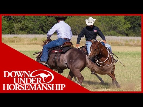 Clinton Anderson: How to Fix a Buddy-Sour Horse - Downunder Horsemanship Clinton Anderson: How to Fix a Buddy-Sour Horse - Downunder Horsemanship