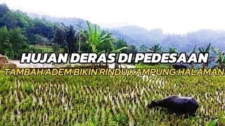 HUJAN DERAS DI PEDESAAN JAWA BARAT BIKIN ADEM DI IRINGI KECAPI SULING SUNDA YANG MERDU