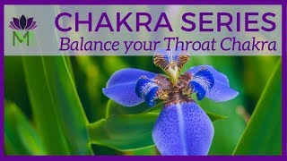 Connect with Your Truth: Balance Your Throat Chakra