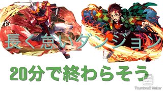 年末年始チャレンジ1    20分クリア 【パズル難民によるパズドラ動画】