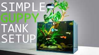 How to Setup a Simple Guppy Fish Tank: TUTORIAL