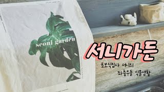 서니가든[고양화훼단지_ 보람플라워 / 봄맞이 꽃식물쇼핑 ]🌱