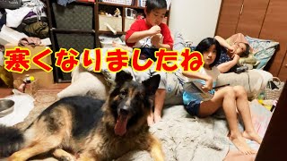 急に寒くなりました！孫達・シェパードマック君・しっかり遊んで風邪知らず【VLOG】