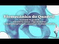 Biomecânica do Quadril - Osteologia e Artrologia da cintura pélvica / Prof. Felipe Barros