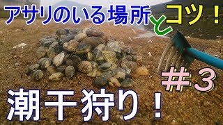 潮干狩りシーズン到来！＃3　アサリのいる場所と知っておきたい貝掘りのコツ！