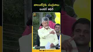 వాలంటీర్లకు చంద్రబాబు బంపర్ ఆఫర్ | #Chandrababu | #ElectionCampaign | #Shorts | Mango News