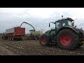 Mais hakselen bij Alex the Dutch Dairyfarmer met Claas Jaguar 960 en Fendt 939 (2018)