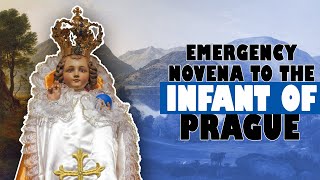 Emergency Novena to the Infant of Prague in urgent need! (for nine hours or nine days)