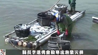 縣長李進勇會勘寒流漁業災損