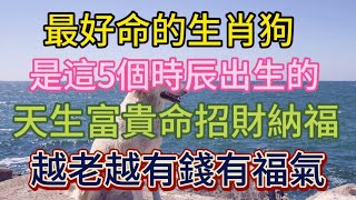 最好命的生肖狗！原来都是这5个时辰出生的！天生招財納福，命中携福带财,是家里的“招财福星”财源滚滚挡不住！越老越有錢有福！#風水 #佛教 #分享 #推薦 #涨知识 #運勢