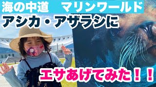 【海の中道マリンワールド】アシカとアザラシにエサをあげたよ！！ゴマアザラシかわいい🦭