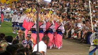 新ばし連(1)＠南内町演舞場　～2011.8.13　徳島市阿波おどり～