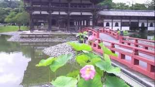 2012年7月7日　宇治　平等院