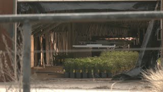 State agents seize marijuana in Murray County raid