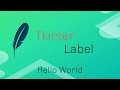 Hello World || Label || Tkinter || python || #pixel